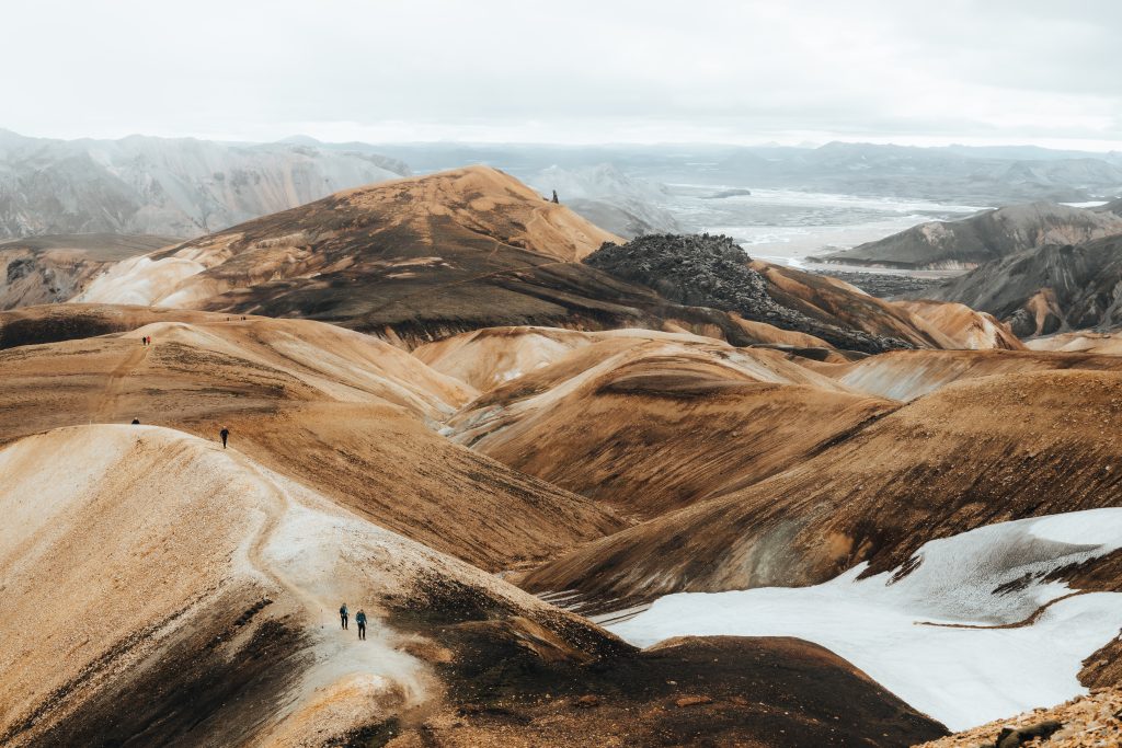 Gibt Es Spezielle Grilltechniken Für Seafood?